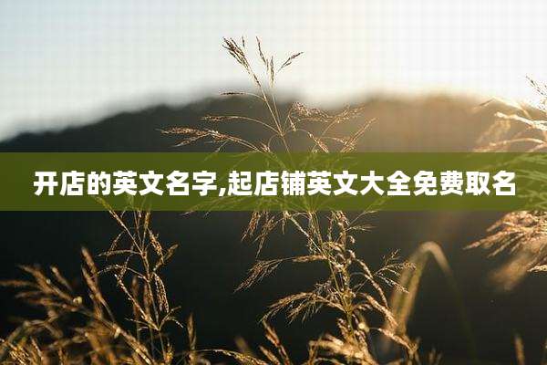 开店的英文名字,起店铺英文大全免费取名