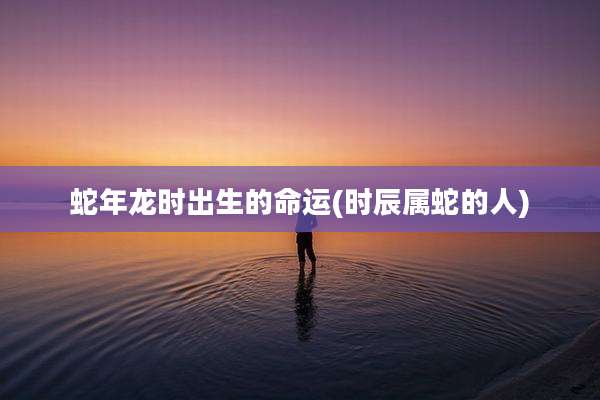 蛇年龙时出生的命运(时辰属蛇的人)
