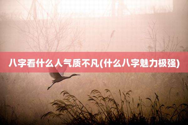 八字看什么人气质不凡(什么八字魅力极强)