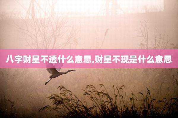 八字财星不透什么意思,财星不现是什么意思