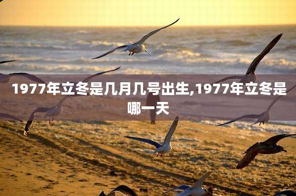 1977年立冬是几月几号出生,1977年立冬是哪一天