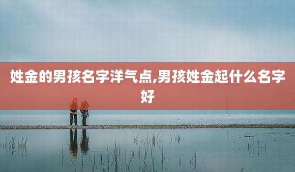 姓金的男孩名字洋气点,男孩姓金起什么名字好