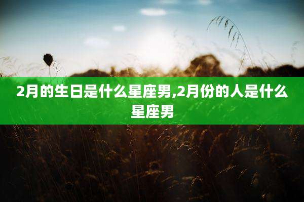 2月的生日是什么星座男,2月份的人是什么星座男