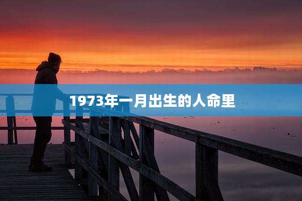 1973年一月出生的人命里