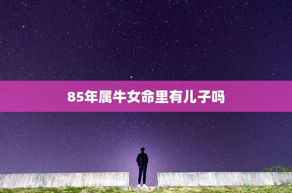 85年属牛女命里有儿子吗