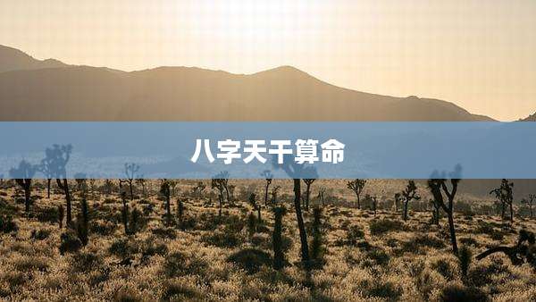 八字天干算命