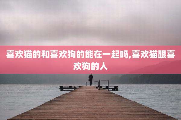 喜欢猫的和喜欢狗的能在一起吗,喜欢猫跟喜欢狗的人