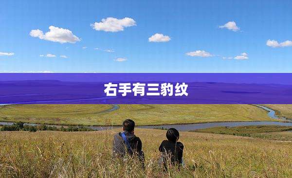 右手有三豹纹