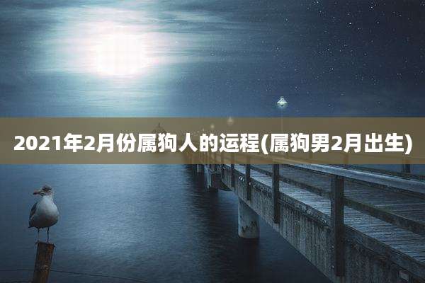 2021年2月份属狗人的运程(属狗男2月出生)