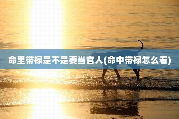 命里带禄是不是要当官人(命中带禄怎么看)