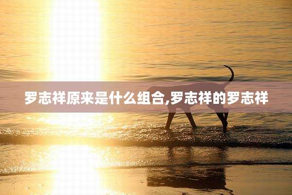 罗志祥原来是什么组合,罗志祥的罗志祥