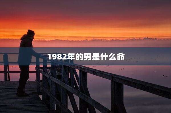 1982年的男是什么命