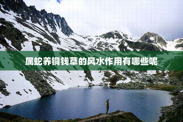 属蛇养铜钱草的风水作用有哪些呢