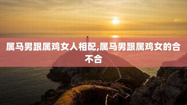 属马男跟属鸡女人相配,属马男跟属鸡女的合不合