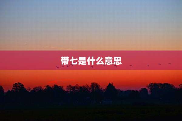 带七是什么意思