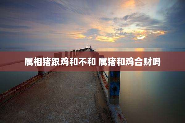 属相猪跟鸡和不和 属猪和鸡合财吗