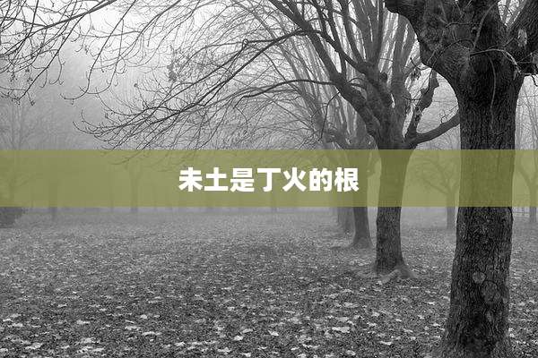 未土是丁火的根