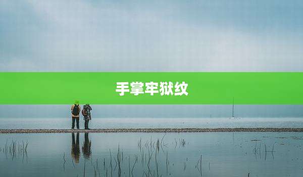 手掌牢狱纹