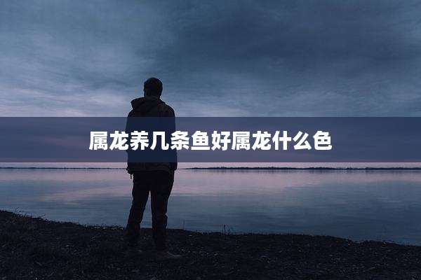 属龙养几条鱼好属龙什么色