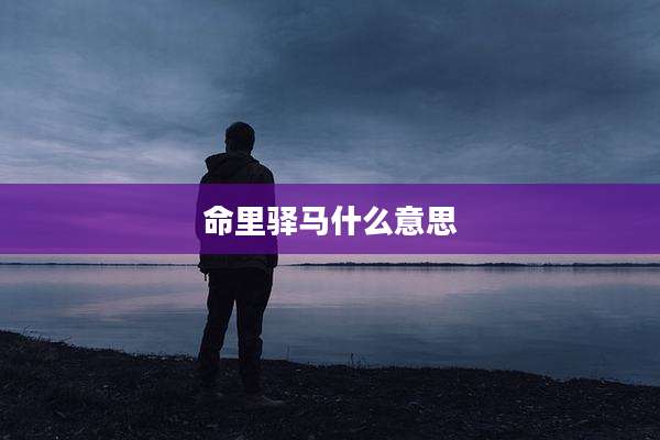 命里驿马什么意思