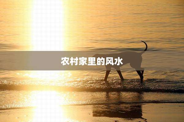 农村家里的风水