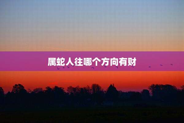 属蛇人往哪个方向有财