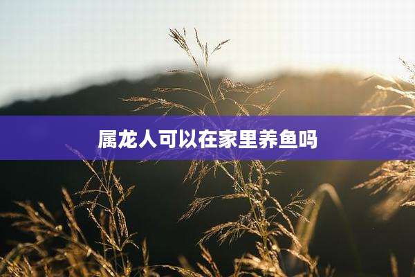 属龙人可以在家里养鱼吗