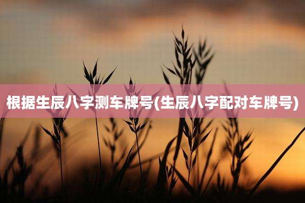 根据生辰八字测车牌号(生辰八字配对车牌号)