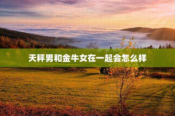 天秤男和金牛女在一起会怎么样