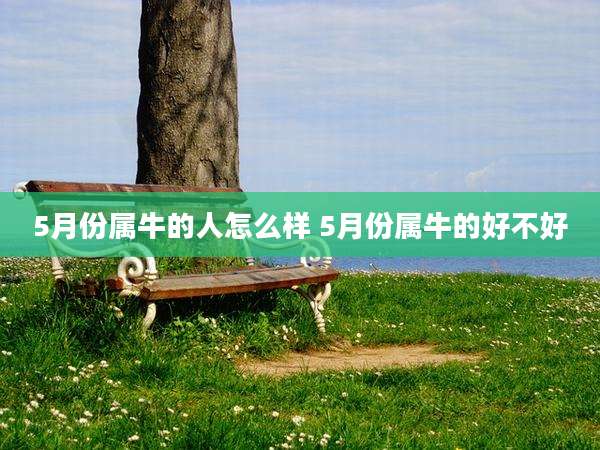 5月份属牛的人怎么样 5月份属牛的好不好