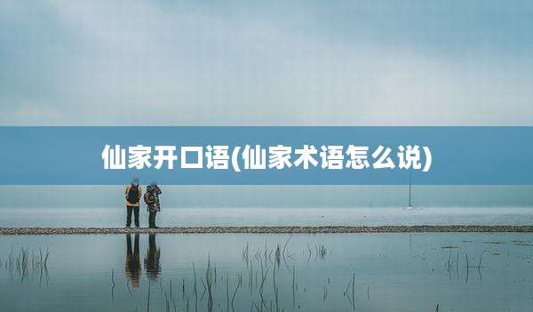 仙家开口语(仙家术语怎么说)