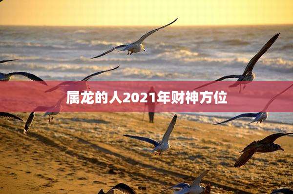 属龙的人2021年财神方位