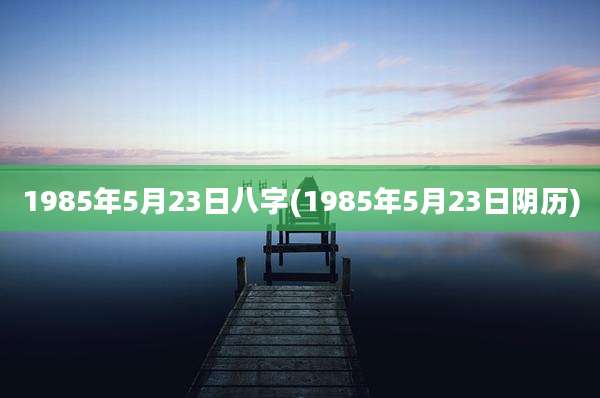 1985年5月23日八字(1985年5月23日阴历)