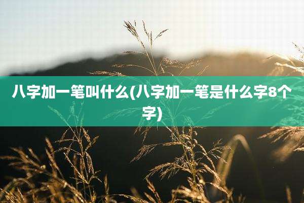 八字加一笔叫什么(八字加一笔是什么字8个字)