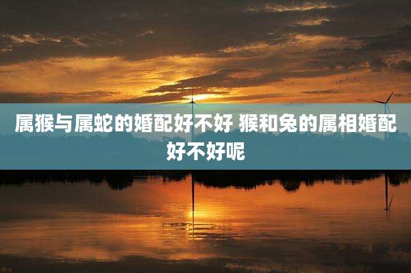 属猴与属蛇的婚配好不好 猴和兔的属相婚配好不好呢