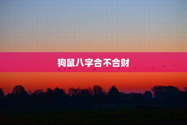 狗鼠八字合不合财