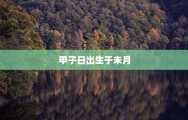 甲子日出生于未月
