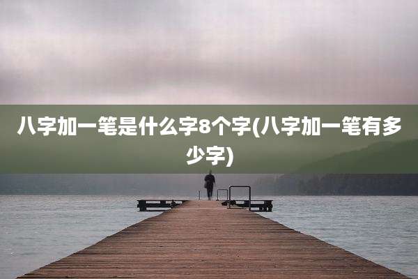 八字加一笔是什么字8个字(八字加一笔有多少字)