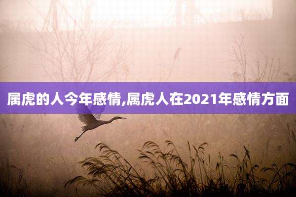 属虎的人今年感情,属虎人在2021年感情方面