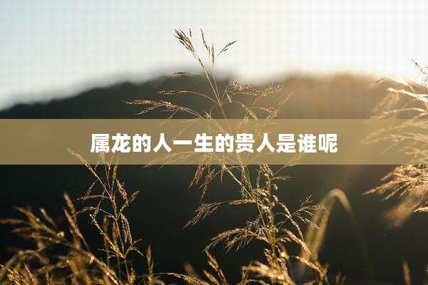 属龙的人一生的贵人是谁呢