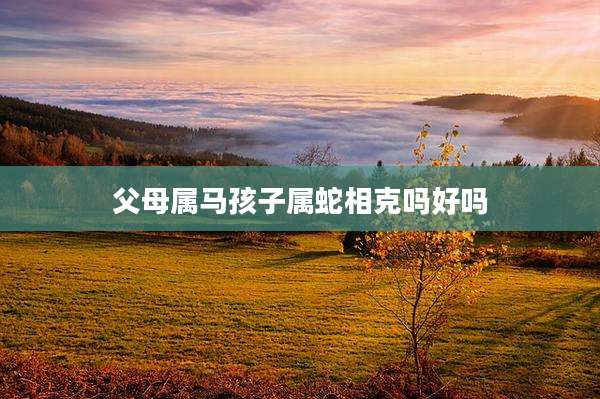 父母属马孩子属蛇相克吗好吗