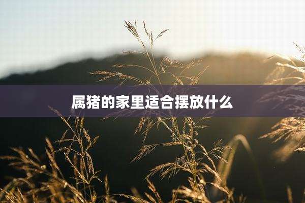 属猪的家里适合摆放什么