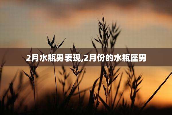2月水瓶男表现,2月份的水瓶座男
