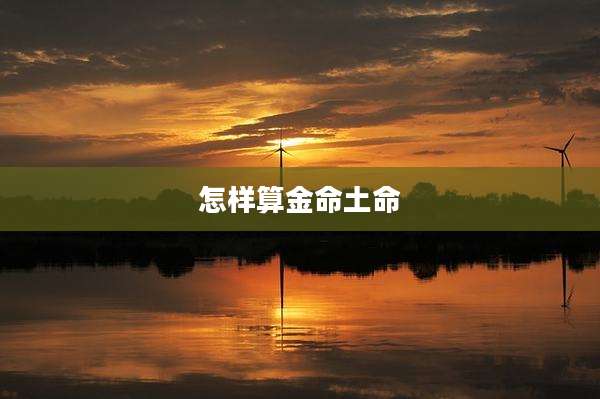 怎样算金命土命