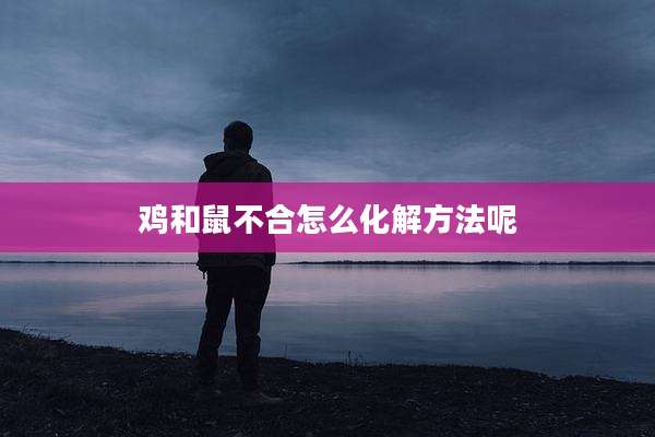 鸡和鼠不合怎么化解方法呢