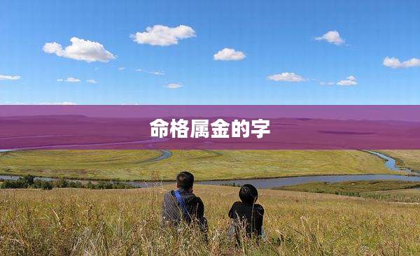 命格属金的字