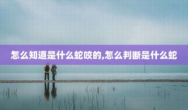 怎么知道是什么蛇咬的,怎么判断是什么蛇