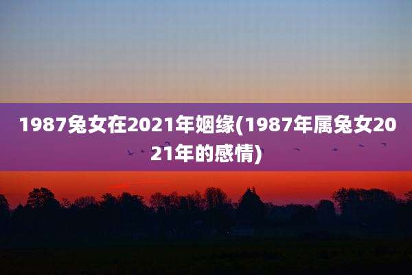 1987兔女在2021年姻缘(1987年属兔女2021年的感情)