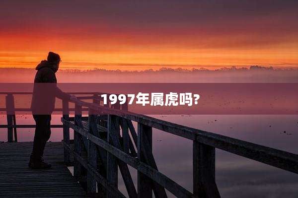 1997年属虎吗?