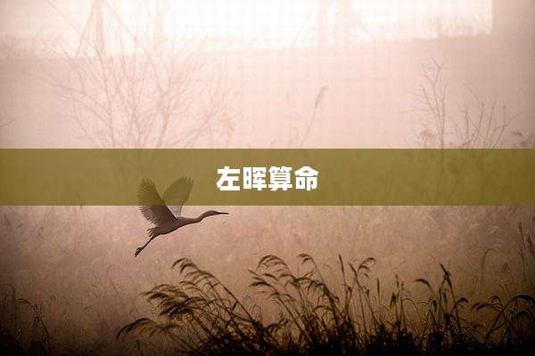 左晖算命